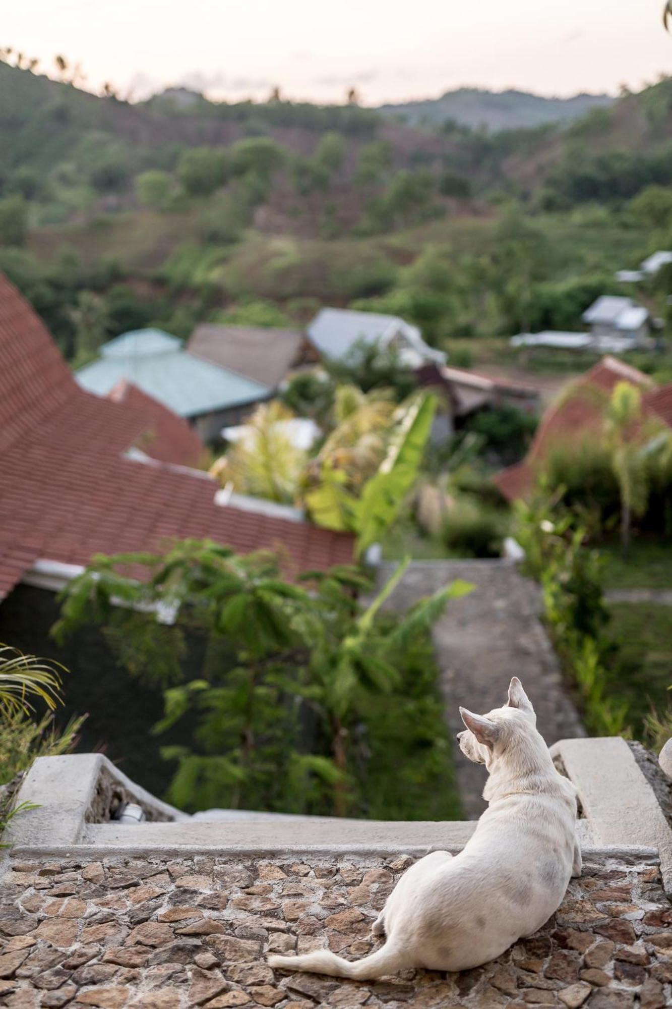 Drop In Surf Lodge Kuta  Exterior foto